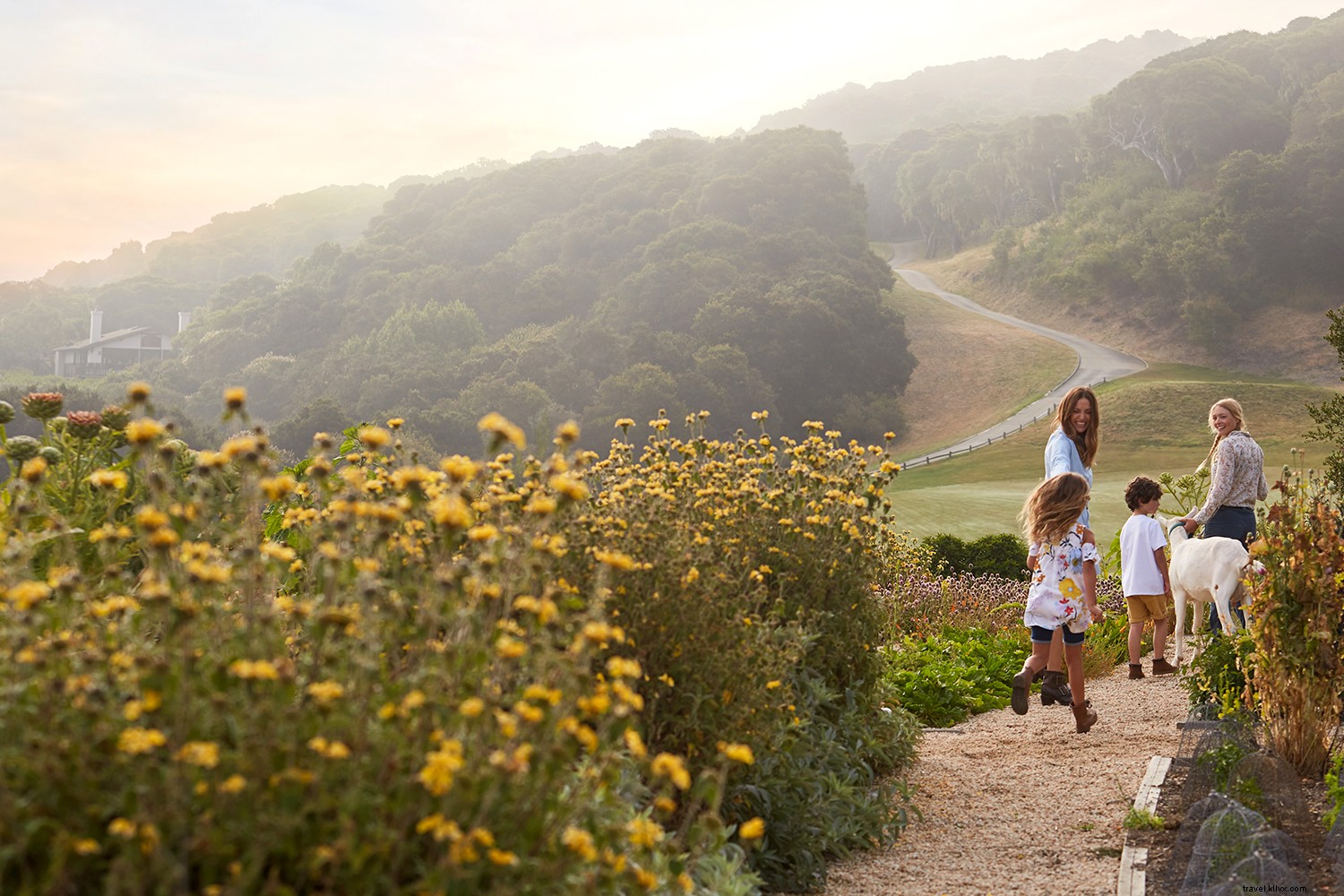 7 lições que você aprenderá em uma excursão em Monterey 